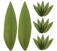 Amosfun 100 Unidades de Hojas de Sushi Nori Hojas Decorativas De Hoja Natural Para Plato De Sushi Sashimi Y Estera De Comida Japonesa Verde 21.00 X 6.00 X 0.10 Cm