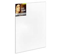 Ampersand Art Supply Imprimado suave, 1/8 pulgadas de profundidad, 18 x 24 pulgadas