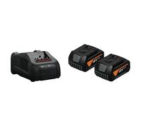 Fein Set de inicio de baterías GBA 18 V 5.0 Ah AS – 2 baterías de iones de litio + cargador rápido