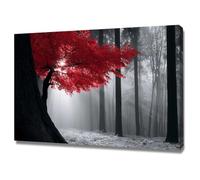 AMXBZC Cuadros Decoracion Salon Modernos Paisaje de árboles de niebla montañosa Nórdico Minimalistas Plantas cuadros, Comedor Oficina Pasillo Cocina Y Baño póster（Rojo-40x60cm Enmarcado