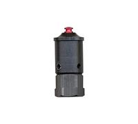 Anakel Home Válvula Indicadora de Presión para Olla Express Alza | Repuesto Compatible con Alza Kuche, Zenith, Quattro, Titan, Omega, Space | Acero Inoxidable, 45 x 20 mm