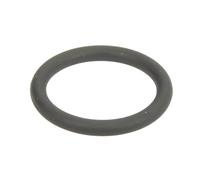 Anillo de goma BOSCH F 00R J01 482