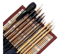 AOMAYLL Pincel chino caligrafía profesional,Pincel de escritura,con para escribir dibujo,Un juego de 10 pinceles (con bolsa de pinceles) (B)