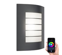 Aplique ZYNO para exterior IP44 antracita in 27 LED RGB 892lm Smart Home