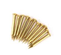 aqxreight Clavos de Cabeza Redonda, Herrajes para Bisagras de Muebles de Latón de 10 Mm/15 Mm/18 Mm/22 Mm para Gabinetes y Puertas del Hogar, Solución de Fijación con Fácil Instalación (22mm de