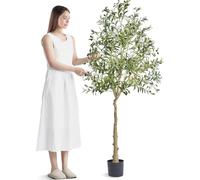 Árbol de olivo artificial, planta decorativa de 1,8 metros de altura, fabricada con material PE resistente y con protección antideslizante para evitar que se caiga. Planta de bajo mantenimiento, con u