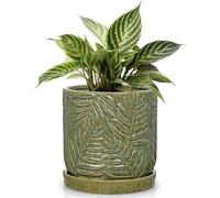 Arborus Macetero de cerámica de 14 cm con plato, color verde | Para plantas de interior Monstera suculentas, macetero autoregado, balcón, alféizar de ventana, mesa, decoración de jardín