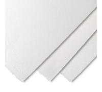 Arches Paquete de 10 hojas Aquarelle 300 g 56 x 76 (22 x 30 in) Grano fino frío prensado A1795040 Bright White