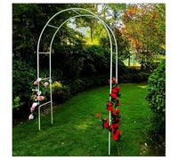 Arco de jardín de Metal, Cenador de Arco jardín Metal galvanizado for Plantas trepadoras(Weiß,W 2.5 x H 2.4m)