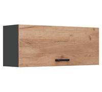 Armario colgante Vicco R-Line Roble dorado/Antracita 100 cm Plano, Model 63163
