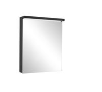 Armario con espejo iluminado Schneider BORDO TW LED, 1 puerta, con bisagras intercambiables, zócalo derecho, 49,5x72,6x17,8cm, 188.052.01.44, Versión: CH estándar/negro mate