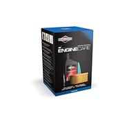 Arnold BS-992204 Briggs & Stratton - Kit de mantenimiento para máquinas cortacésped Briggs & Stratton (serie 800, 850 y 875)
