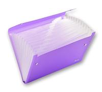 Arpan Carpeta expandible A4 con 13 bolsillos reforzados, funda organizadora tipo cartera para negocios, escuela, hogar, oficina, universidad, cierre de cartera (morado)