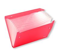 ARPAN ST-9604 - Carpeta expandible A4, carpeta transparente con 13 bolsillos reforzados, carpeta multisección con cierre de cartera de tachuelas, carpeta para documentos (rosa), ST-9604
