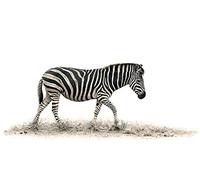 Art Group The The Zebra - Lienzo Decorativo (60 x 80 cm), diseño de Cebra, Multicolor