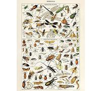 Artery8 Millot Encyclopedia Page Insects Dragonfly Unframed Wall Art Print Poster Home Decor Premium Página Continuar pared Póster Casa