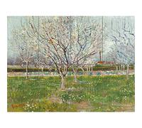 Artery8 Vincent Van Gogh Orchard In Blossom Plum Trees XL Giant Panel Poster (8 Sections) Florecer Arboles Póster
