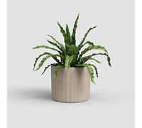 Artevasi Chloe Maceta con líneas Verticales, Maceta Decorativa, cerámica Hecha a Mano, Color Beige, 21 cm