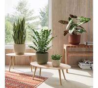 Artevasi Miami Flower - Maceta Elegante con Estructura Ondulada, Acabado Mate, 20 cm, Color Blanco y Verde, Ideal como Maceta para Habitaciones Modernas