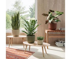 Artevasi Miami Flower - Maceta Moderna de plástico Reciclado de 16 cm, Color Antracita, con Superficie Mate, Decorativa, Color carbón, 16 cm