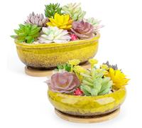 ARTKETTY Macetas para suculentas, macetas de cerámica para suculentas con bandeja de bambú de drenaje, 1 maceta rectangular + 1 maceta redonda para interior de cactus y bonsái para el hogar (amarillo)