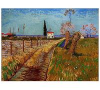 ArtPlaza Panel Decorativo-Van Gogh Vincent Path Through A Field with Willows, Madera, Multicolor, 80x1.8x60 cm