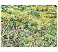 ArtPlaza Van Gogh Vincent-Meadow in The Garden of Saint-Paul Hospital Panel Decorativo, Madera MDF, Multicolor, 120x90 Cm