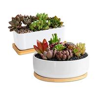ARVINKEY 1 maceta rectangular + 1 maceta redonda, juego de 2 recipientes pequeños de cactus, macetas bonsái, macetas con agujeros de drenaje, bandeja de bambú (sin planta)