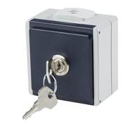 as - Schwabe 62461 - Interruptor estanco (230V)