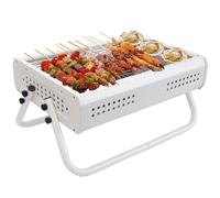 Asador de Carbón Parrilla De Carbón Mesa Con Mango, Barbacoa Portátil, Al Aire Libre Para Camping Picnic Exterior Camping Picnic(White)