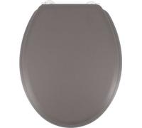 Asiento de inodoro doble, color carbón, con acabado en polvo de bambú, bisagras de acero inoxidable, color gris, accesorio para baño