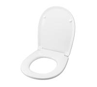Asiento para inodoro Duravit Dune Tierra/Suspenso Termoendurecible Blanco cremallera inoxidable normal o ralentizada soft close