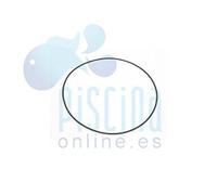 AstralPool JUNTA BRIDA MOTOR marca