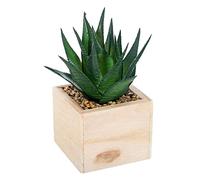 ATMOSPHERA CREATEUR D'INTERIEUR Chic Planta de Madera Verde H14