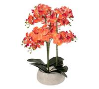 Atmosphera - Orquídea Artificial en Maceta Sanae Maceta de Cemento Naranja h65cm