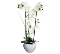 Atmosphera - Orquídea Artificial - jarrón de cerámica Blanco - H53 cm