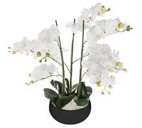 Atmosphera - Orquídea Artificial - Marco de cerámica Negra A. 65 cm