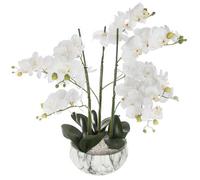 ATMOSPHERA Orquídea con maceta cemento mármol, 65 cm de alto