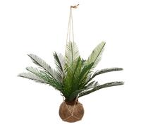 Atmosphera - Palmera Artificial Cuba en Olla de Coco de Palma H 50