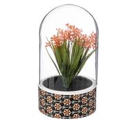 Atmosphera Planta Artificial Ali en Cloche de Cristal H21cm - Decoración de Interiores