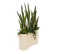 Atmosphera - Planta Artificial en Maceta Sky 80x30cm