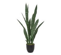 Atmosphera - Planta Artificial sansevieria Toby macetero Negro h90cm