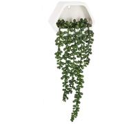 Atmosphera Planta Colgante Pared Contemporánea 45cm - Decoración Hogar
