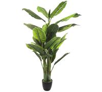 Atmosphera Planta de Plátano Altura 170 - Decoración Natural de Interiores y Exteriores