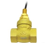 AugustknowU Interruptor de detección del flujo SEN-DB15 para los sistemas de agua de la presión baja con el hilo interno G1/2 y el recinto IP66