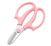 Aumotop Tijeras de Floristería Pequeñas y Ligeras de Acero Inoxidable para Poda Flores y Jardinería Doméstica 1 Unidad Azul (Rosa)