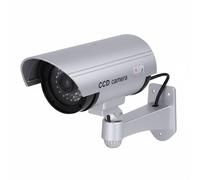 Avizar, Cámara de disuasión tipo tubo para interior/exterior con LED visibles