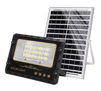 Avizar Proyector Solar LED Exterior 9000K con Detección Automática,