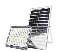 Avizar Proyector Solar LED Exterior 9000K con Detección Automática, Gris