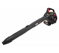 AW Tools - Soplador de hojas y aspiradora, 3 en 1, 450 ml, modelo AW3424 (talla única) ()